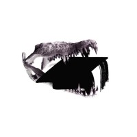 Centre for Crocodile Research Logo