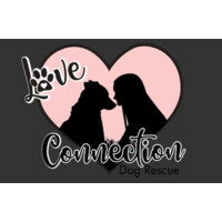 Love Connection Dog Rescue Logo