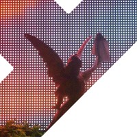 Y (BrandTech) Logo