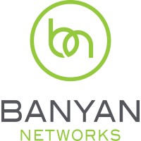 Banyan Networks (Pacific Network Group) Logo