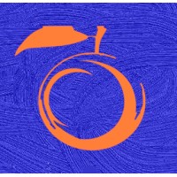 The Blue Orange Strategic Solutions, LLC Logo