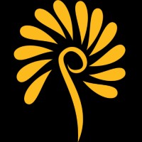 Anavi Strategies Logo