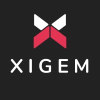 Xigem Technologies Logo