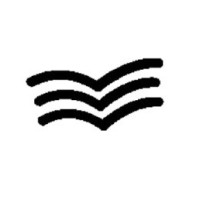 CSTE INTERNATIONAL Logo
