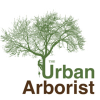 The Urban Arborist Logo