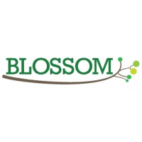 BLOSSOM: e-Learning for Serious Do-Gooders Logo