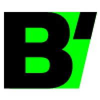 BWISE - de turbo voor jouw startup! Logo