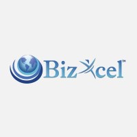 BizXcel - Analytics & Software Development Logo