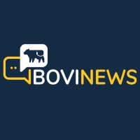 BoviNews Logo