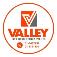 Valley International Consultancy Logo