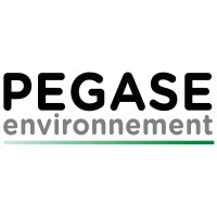 Pegase Environnement Logo