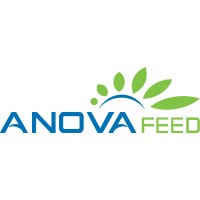 ANOVA FEED Logo