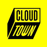 CLOUDTOWN BRANDS Logo