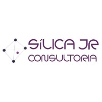 Sílica Jr. Consultoria Logo