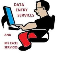 Microsoft Excel Data Entry Logo
