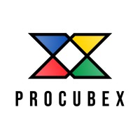 PROCUBEX Engineering Consultancy Limited Company Logo