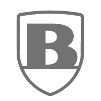 Black Vanguard Alliance Logo