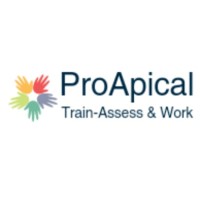 ProApical Infonet Pvt Ltd Logo