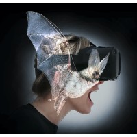 BATVISION Logo