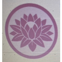 The 7th Insight Logo