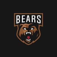 Bears Logo