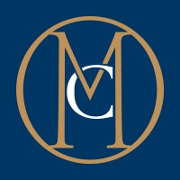 Metisse Consulting Logo