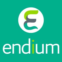 Endium Logo