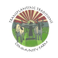 Transplanting Traditions Community Farm Logo