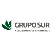 Grupo Sur Logo