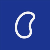Kidney Ally Logo
