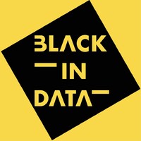 Black in Data Logo