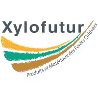 Xylofutur Logo