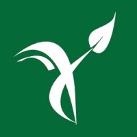 Institute for Solution-Focused Therapy Logo