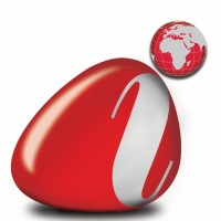 Indian Overseas Services Logo