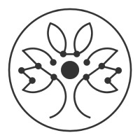 Istari Vision Logo