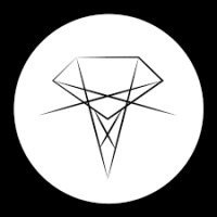 Skink Records Logo