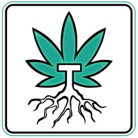 TrustTree Co Logo