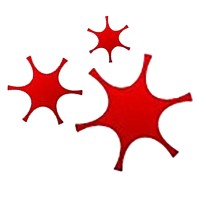Wales Neurological Alliance Logo