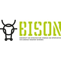 Bison Logo