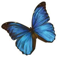 PAINT-STYLING AG Logo