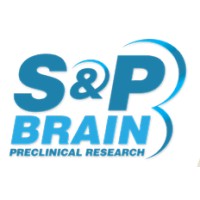 S&P Brain Logo