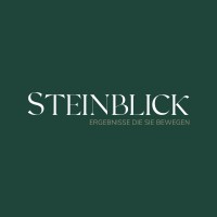 Steinblick AG Logo