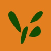 AMO Logo