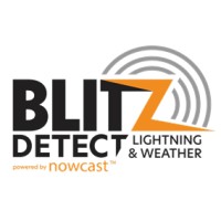 Blitz-Detect Logo