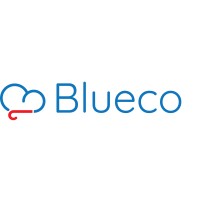 Blueco Logo