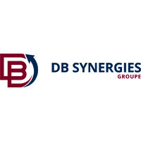 DB SYNERGIES Logo