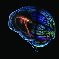 Laboratory for Computational Neurodiagnostics Logo