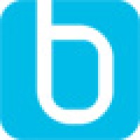 Bosenet Systemhaus GmbH & Co. KG Logo