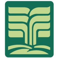 National Food Industries Company Ltd. Logo