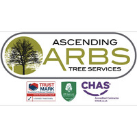 Ascending Arbs Logo